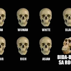 hahaha 🤣