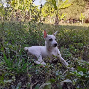 20190417_074126.jpg