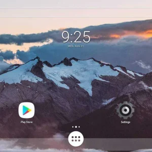 Nova Launcher in Phoenix OS