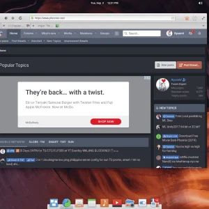 PHC in elementary OS 5.0 Juno