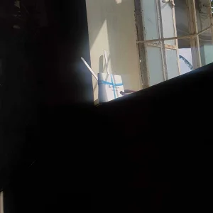 20190909_091204.jpg