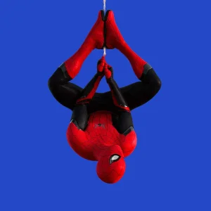 wallpix1566723603-SpiderBlack.jpg