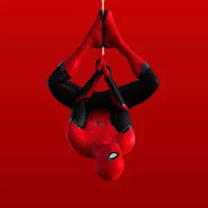 wallpix1566723603-SpiderBlack.jpg