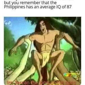 IQ