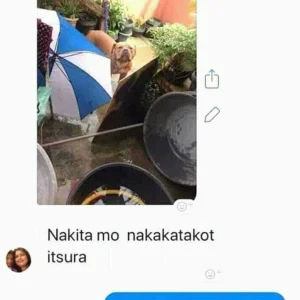 Mag-ball-ahan pa kayong mga hinayupak kayo