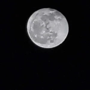 IMG_20191015_201018.jpg