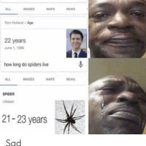 🕷️