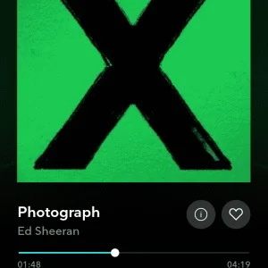 LSS.png
