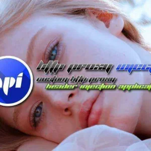 HTTP V2.0.1.3.JPG