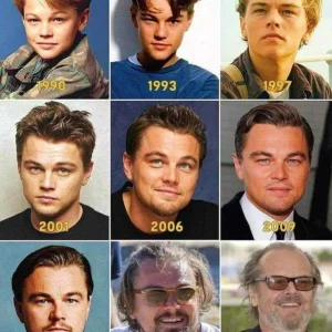 Leonardo evolved