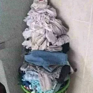 my xmas tree