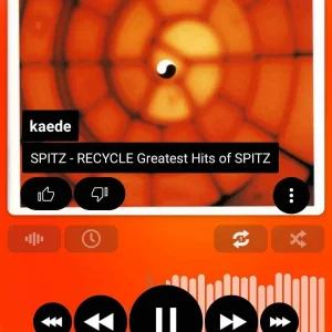 Screenshot_2019-12-11-23-11-47-464_com.maxmpz.audioplayer.jpg