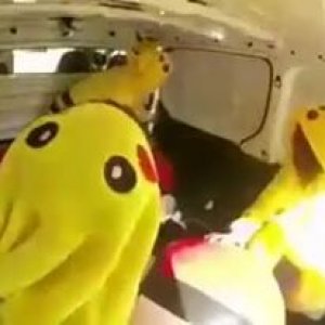 Pokémon