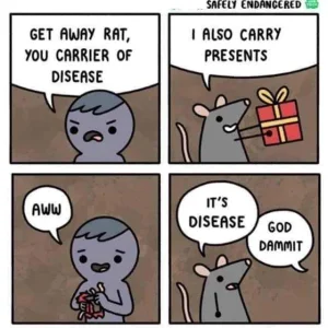 Darn rats