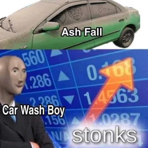 Stonks