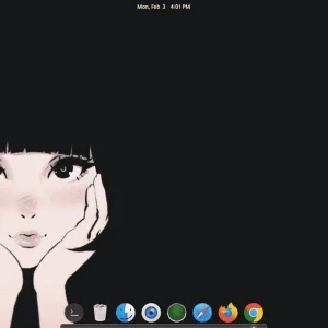 My elementary os
