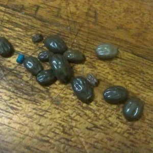 Raisins