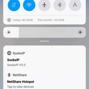 Heavy Downloader