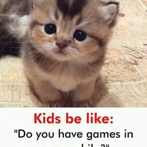 Cutie_meow.jpg