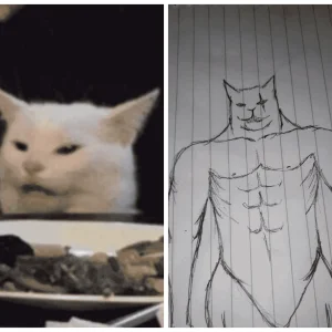 White cat meme revealed XD!
