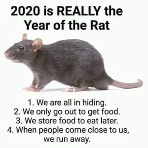 2020