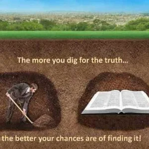 FB_IMG_15933476166845287.jpg