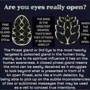 Pineal Gland