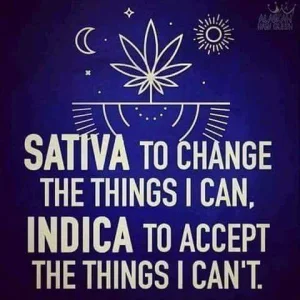 Change Accept