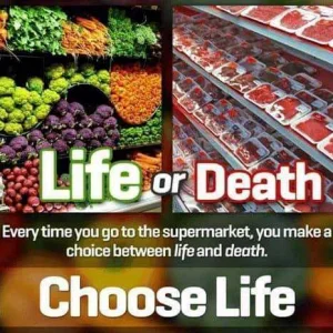 Choose Life