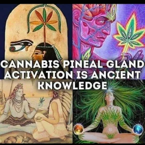 Ancient Knowledge
