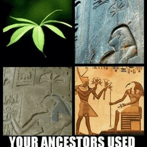Ancestors