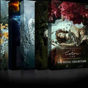 The Color Lab - Fine Art Bundle.jpg