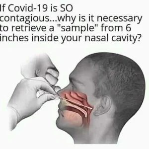 FB_IMG_15965401717861838.jpg