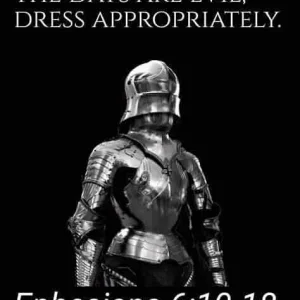 FB_IMG_15965399923845591.jpg