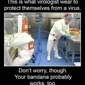 FB_IMG_15963746514450086.jpg