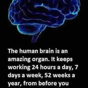 FB_IMG_15994117428451677.jpg