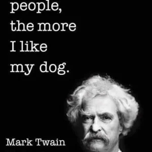 FB_IMG_15994115808683479.jpg