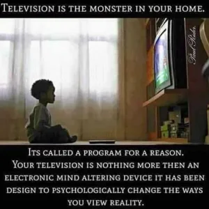 FB_IMG_15990899673115309.jpg