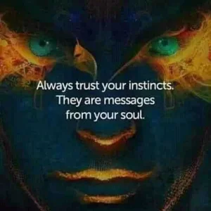 FB_IMG_16003358478081863.jpg
