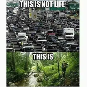 FB_IMG_16003357948845632.jpg