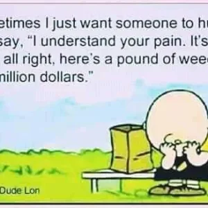 FB_IMG_16003350726996641.jpg