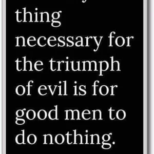 FB_IMG_16005198599803218.jpg