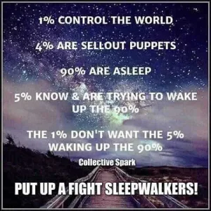 FB_IMG_16002389013149069.jpg