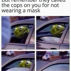 FB_IMG_16002386678111367.jpg