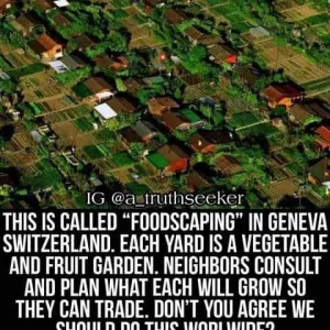 119003232_182738216745666_292485275224331506_n.jpg