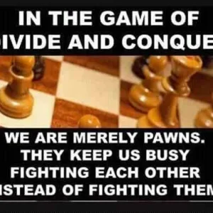 FB_IMG_15993242765911602.jpg