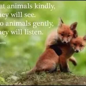 FB_IMG_16008369860628243.jpg