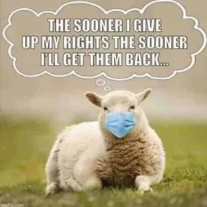 FB_IMG_16008366072965416.jpg
