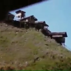 119770781_324474958829558_7228960721230046618_n.mp4