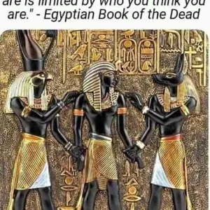 FB_IMG_16007698302914408.jpg